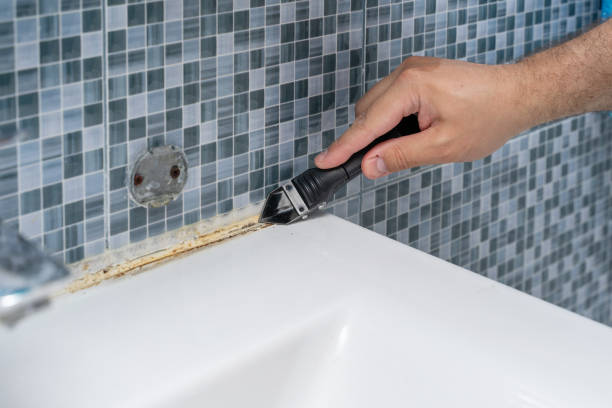 Best Mold Remediation  in Bayboro, NC
