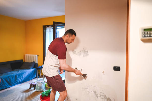 Best Mold Removal Company Near Me  in Bayboro, NC